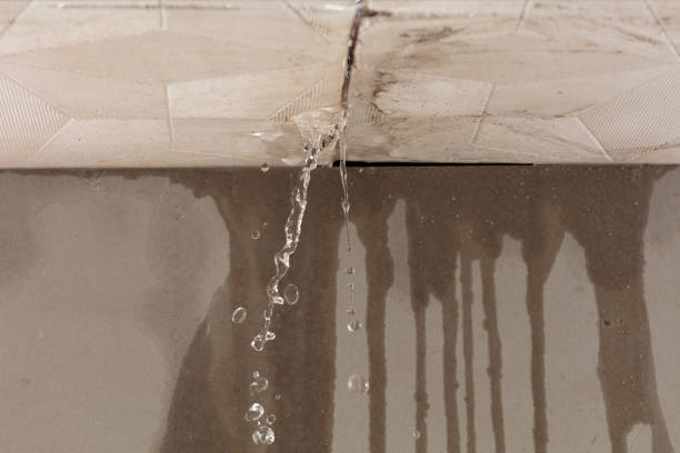 Professional Sewage Cleanup technician working in Cloverdale, VA